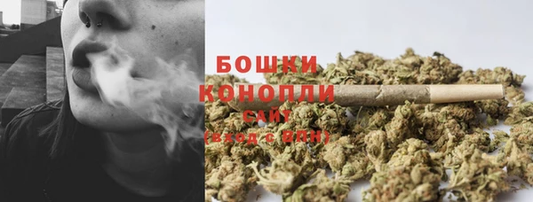 гидра Каменногорск