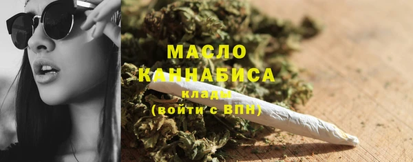 гидра Каменногорск