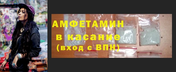 гидра Каменногорск