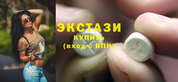 гидра Каменногорск