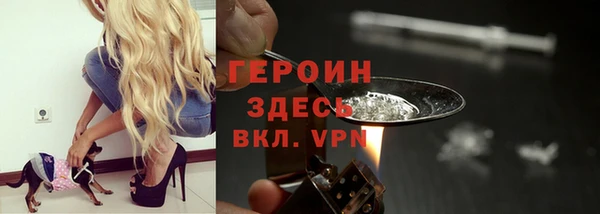 гидра Каменногорск