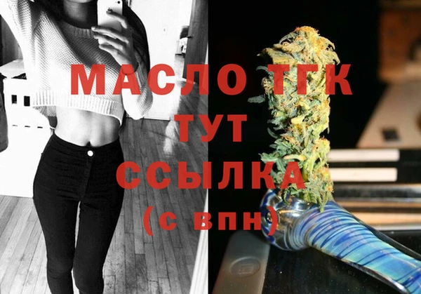 гидра Каменногорск