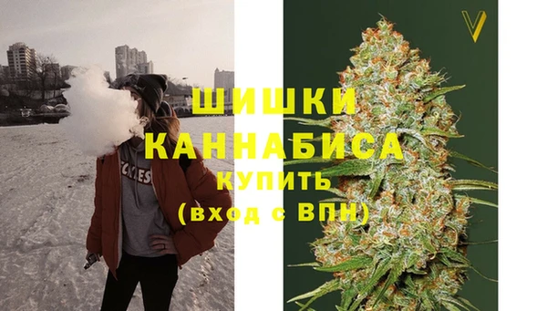 гидра Каменногорск