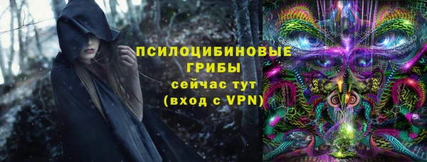 гидра Каменногорск