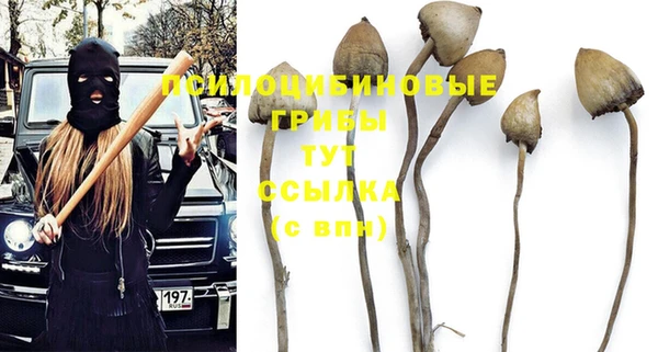 каннабис Каменка