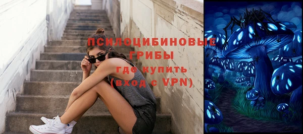 гидра Каменногорск