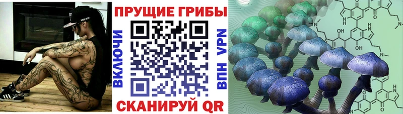 Псилоцибиновые грибы мицелий  Купить где  Михайловск 