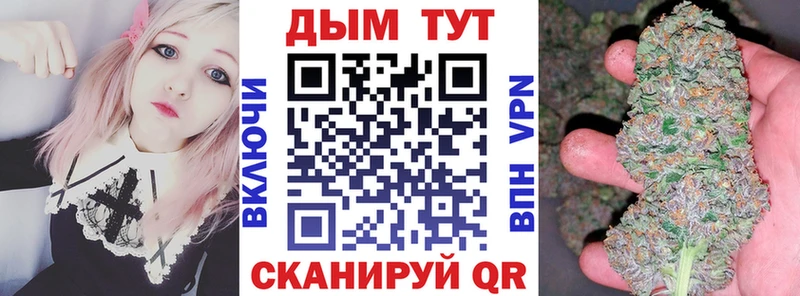 МАРИХУАНА сатива  Купить закладки  Михайловск 